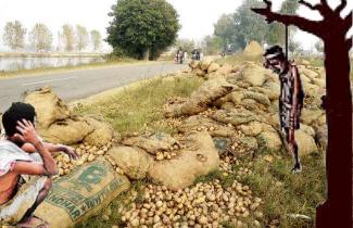 Agricultural crisis is looming in the state